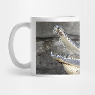 Freshwater Crocodile Mug